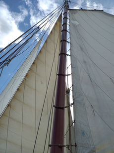 Segeltörn auf dem Ijsselmeer (Foto: Alexander von Rüden)